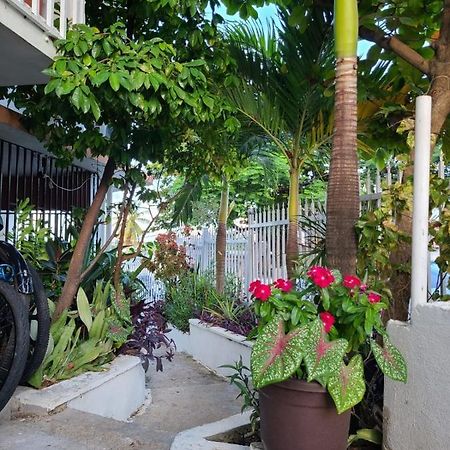 Casita Natural Village #4, #6 Y #8 San Juan Exterior photo