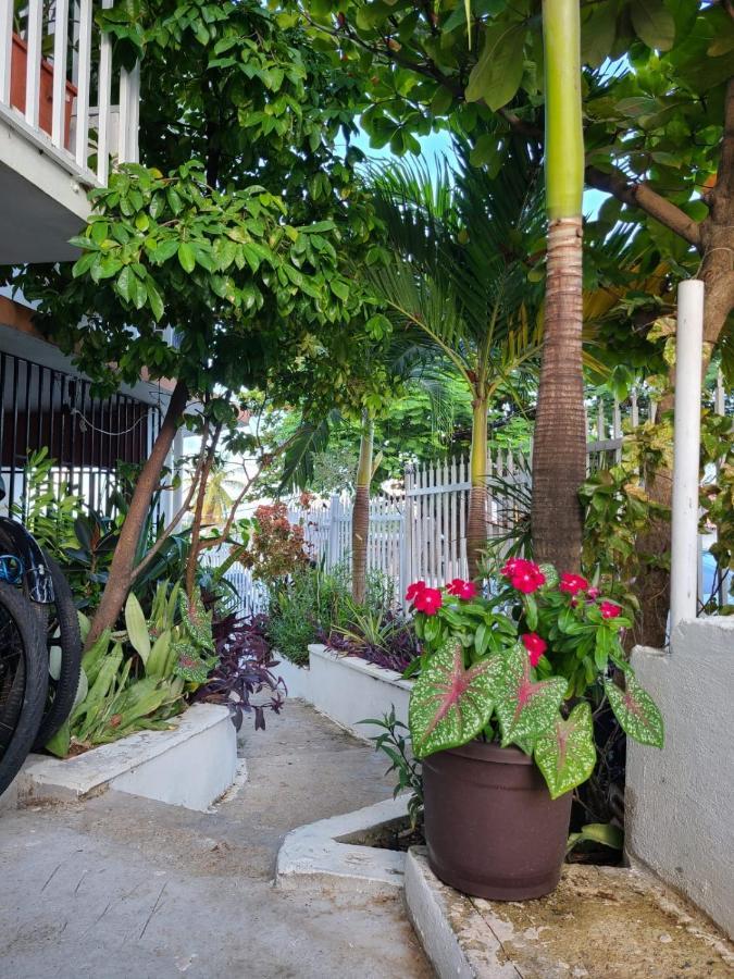 Casita Natural Village #4, #6 Y #8 San Juan Exterior photo